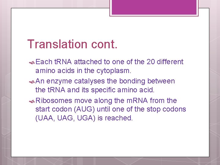 Translation cont. Each t. RNA attached to one of the 20 different amino acids