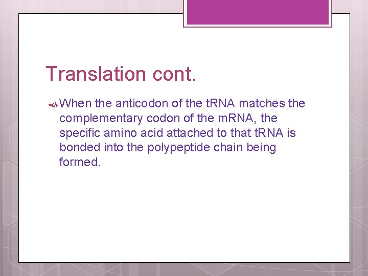 Translation cont. When the anticodon of the t. RNA matches the complementary codon of