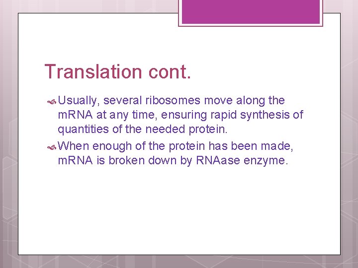 Translation cont. Usually, several ribosomes move along the m. RNA at any time, ensuring