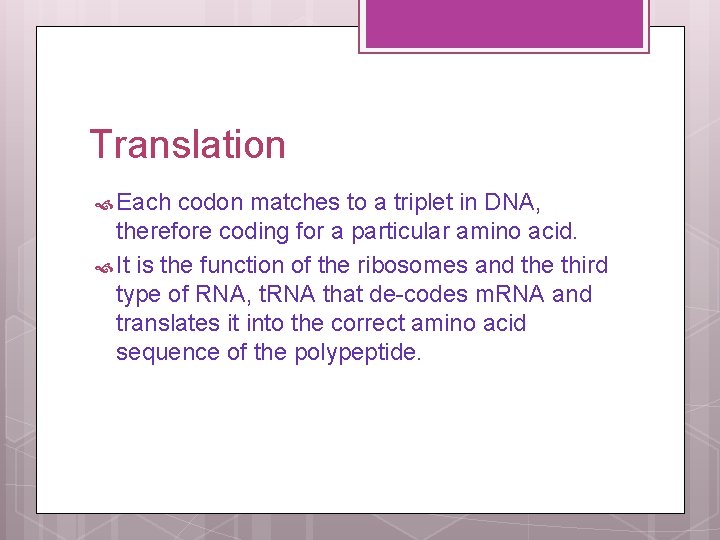 Translation Each codon matches to a triplet in DNA, therefore coding for a particular