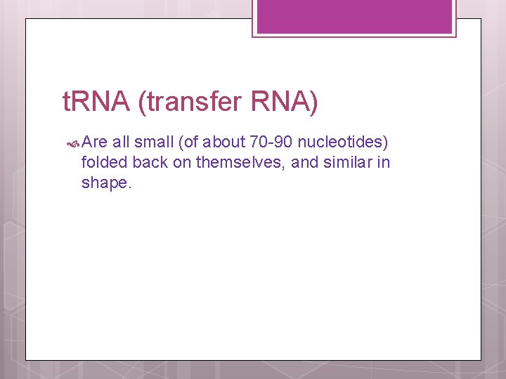 t. RNA (transfer RNA) Are all small (of about 70 -90 nucleotides) folded back