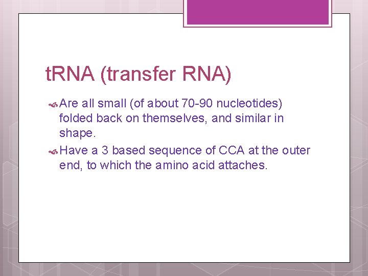 t. RNA (transfer RNA) Are all small (of about 70 -90 nucleotides) folded back