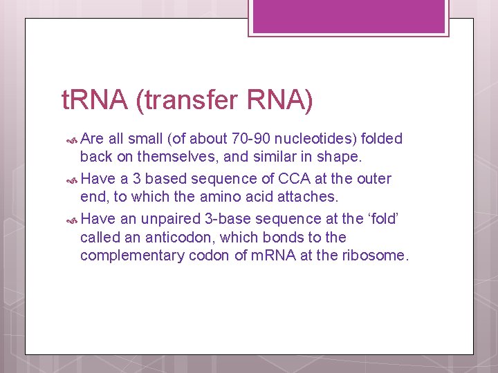 t. RNA (transfer RNA) Are all small (of about 70 -90 nucleotides) folded back