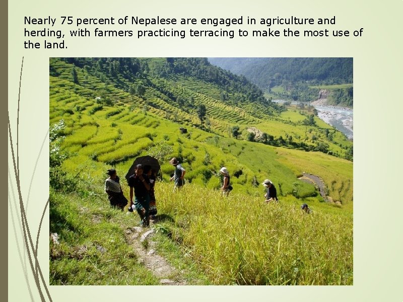 Nearly 75 percent of Nepalese are engaged in agriculture and herding, with farmers practicing