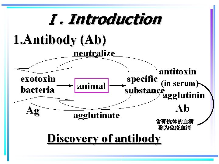 Ⅰ. Introduction 1. Antibody (Ab) neutralize exotoxin bacteria Ag antitoxin animal agglutinate specific (in