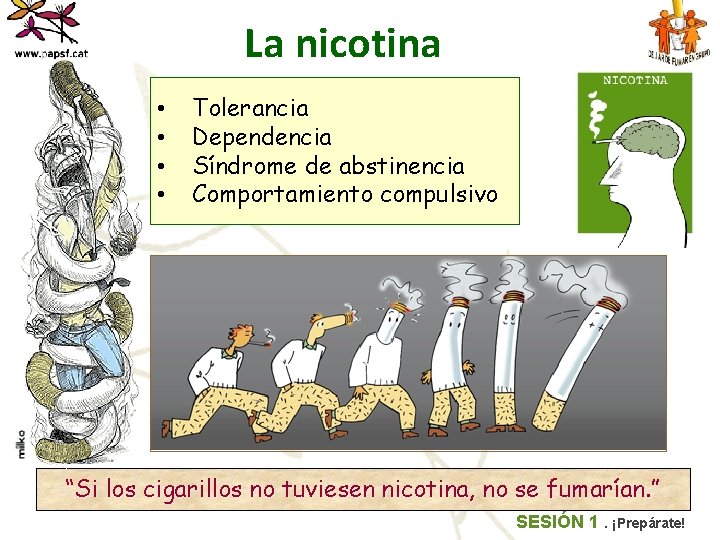 La nicotina • • Tolerancia Dependencia Síndrome de abstinencia Comportamiento compulsivo “Si los cigarillos