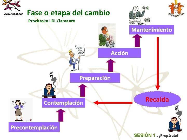 Fase o etapa del cambio Prochaska i Di Clemente Mantenimiento Acción Preparación Contemplación Recaída