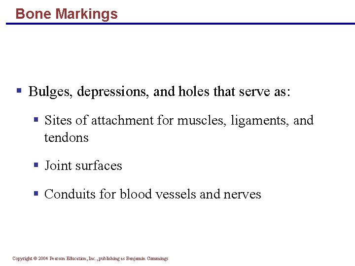 Bone Markings § Bulges, depressions, and holes that serve as: § Sites of attachment
