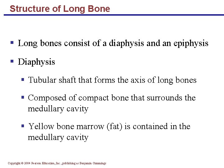 Structure of Long Bone § Long bones consist of a diaphysis and an epiphysis