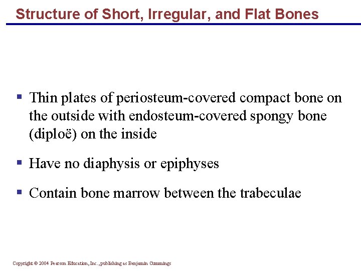 Structure of Short, Irregular, and Flat Bones § Thin plates of periosteum-covered compact bone