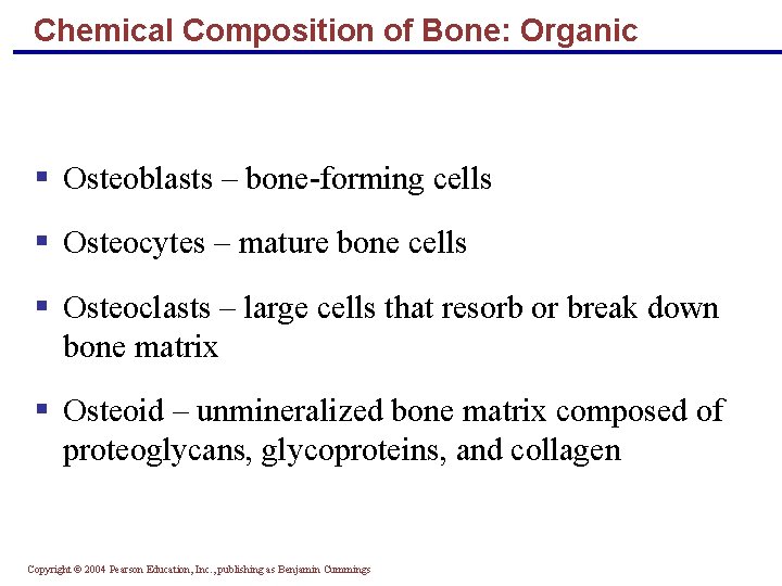 Chemical Composition of Bone: Organic § Osteoblasts – bone-forming cells § Osteocytes – mature