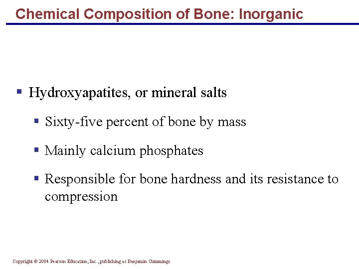 Chemical Composition of Bone: Inorganic § Hydroxyapatites, or mineral salts § Sixty-five percent of