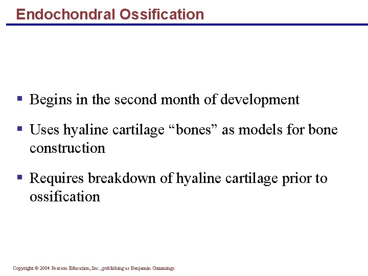 Endochondral Ossification § Begins in the second month of development § Uses hyaline cartilage