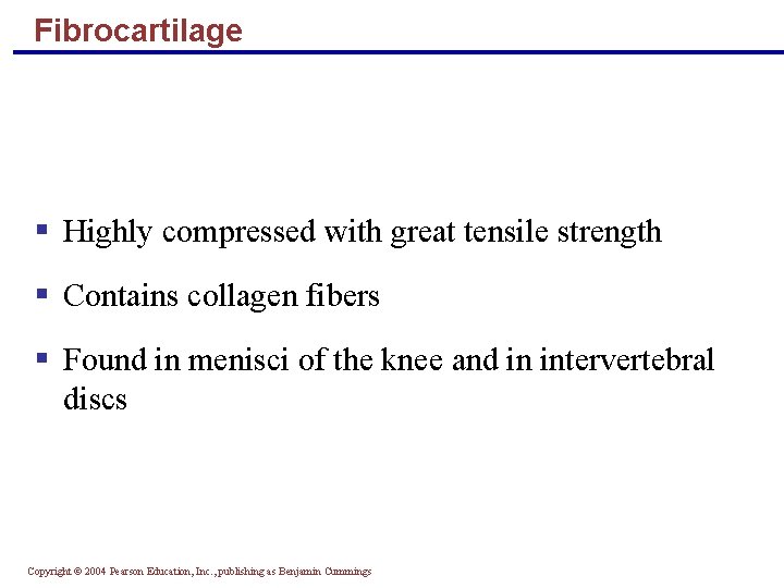Fibrocartilage § Highly compressed with great tensile strength § Contains collagen fibers § Found
