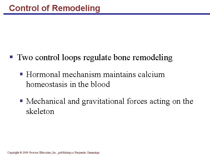 Control of Remodeling § Two control loops regulate bone remodeling § Hormonal mechanism maintains