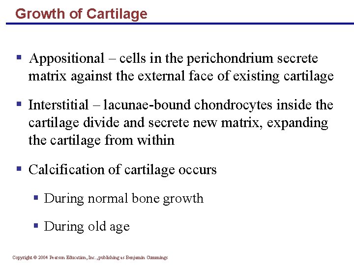 Growth of Cartilage § Appositional – cells in the perichondrium secrete matrix against the