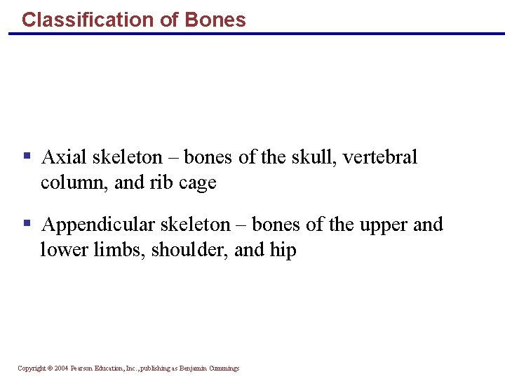 Classification of Bones § Axial skeleton – bones of the skull, vertebral column, and