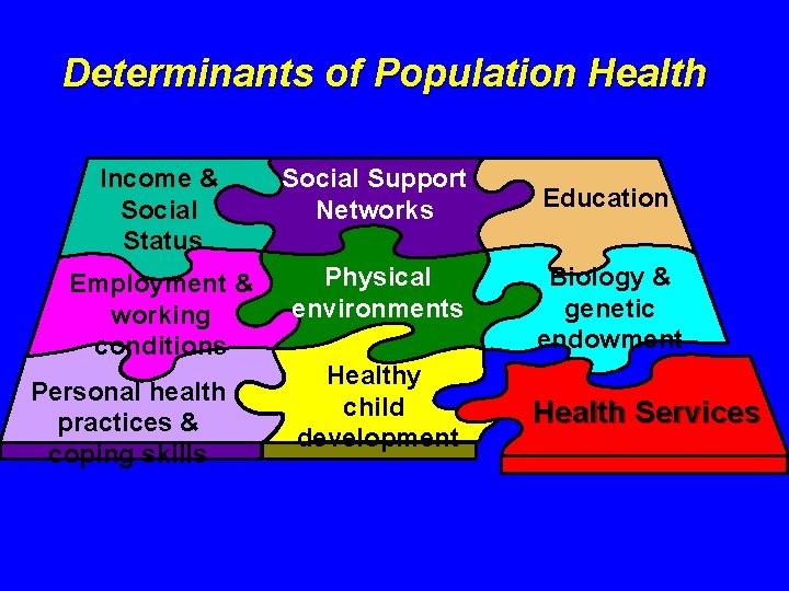 Determinants of Population Health Income & Social Status Social Support Networks Employment & working