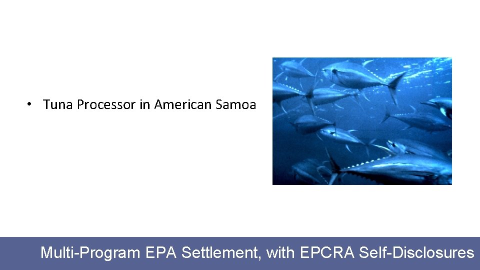 • Tuna Processor in American Samoa Multi-Program EPA Settlement, with EPCRA Self-Disclosures 