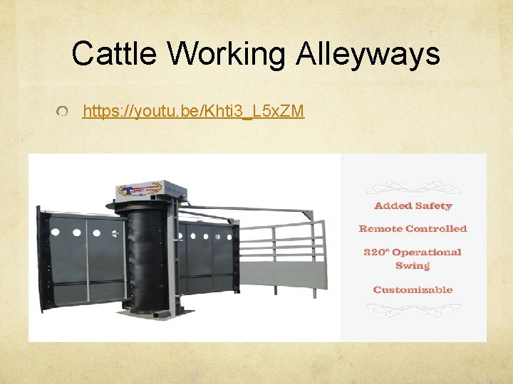 Cattle Working Alleyways https: //youtu. be/Khti 3_L 5 x. ZM 