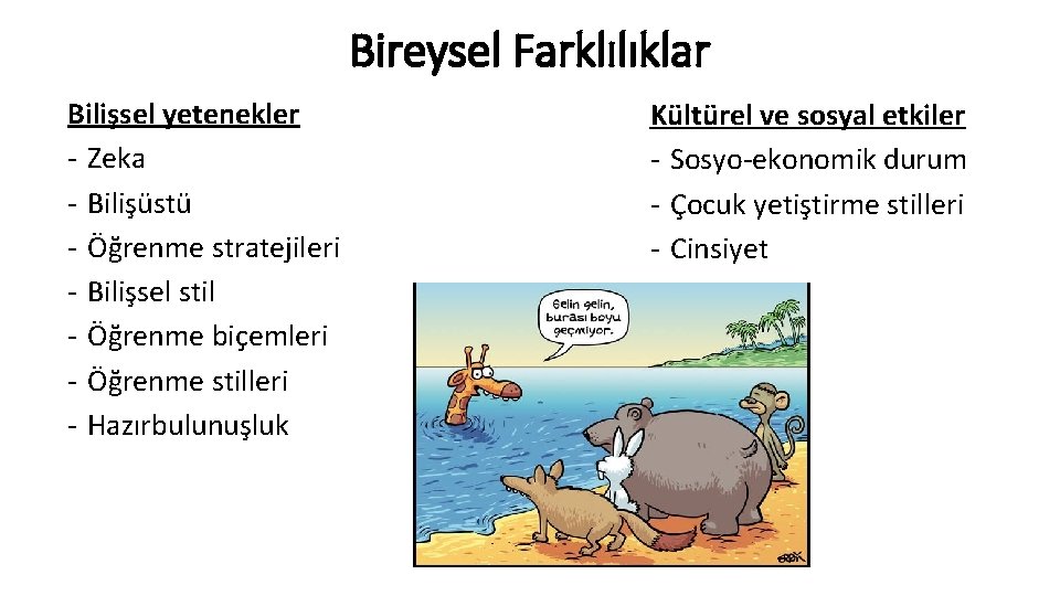 Bireysel Farklılıklar Bilişsel yetenekler - Zeka - Bilişüstü - Öğrenme stratejileri - Bilişsel stil