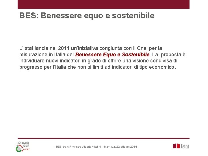 BES: Benessere equo e sostenibile L’Istat lancia nel 2011 un’iniziativa congiunta con il Cnel