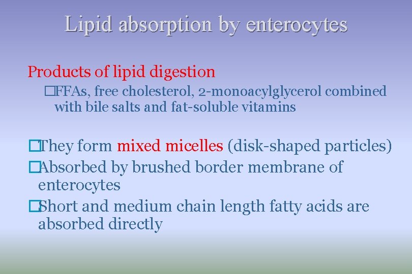 Lipid absorption by enterocytes Products of lipid digestion �FFAs, free cholesterol, 2 -monoacylglycerol combined