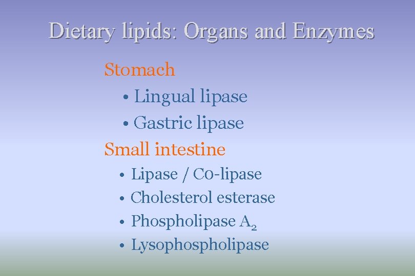 Dietary lipids: Organs and Enzymes Stomach • Lingual lipase • Gastric lipase Small intestine