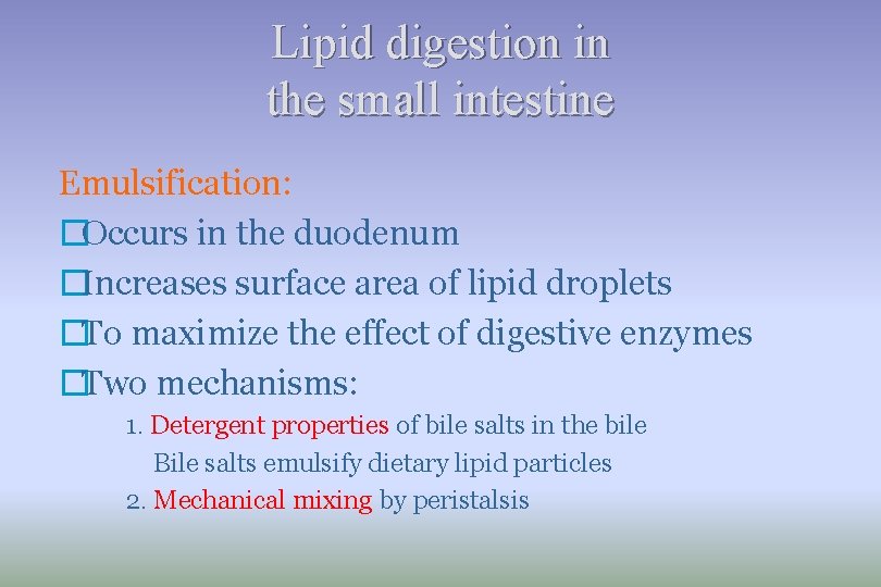Lipid digestion in the small intestine Emulsification: �Occurs in the duodenum �Increases surface area