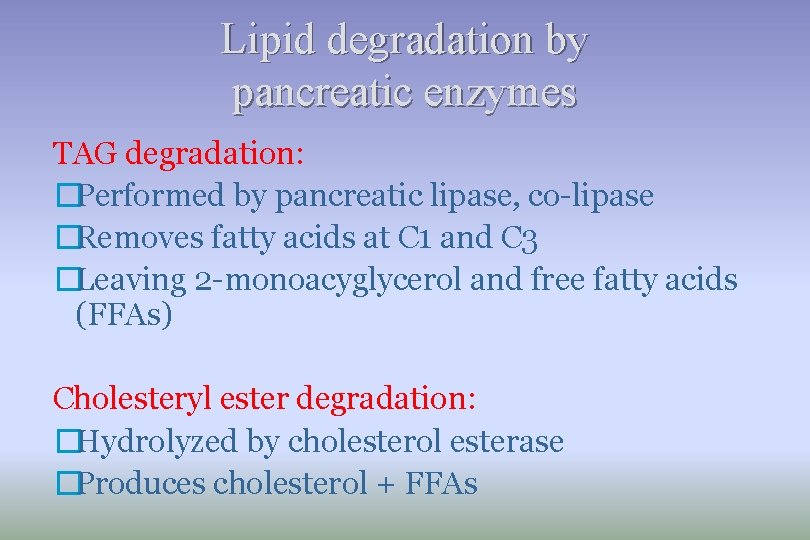Lipid degradation by pancreatic enzymes TAG degradation: �Performed by pancreatic lipase, co-lipase �Removes fatty