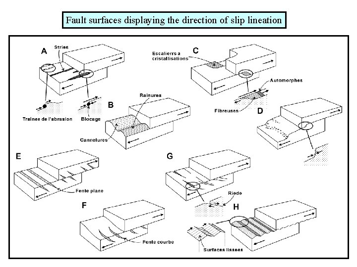 Fault surfaces displaying the direction of slip lineation 