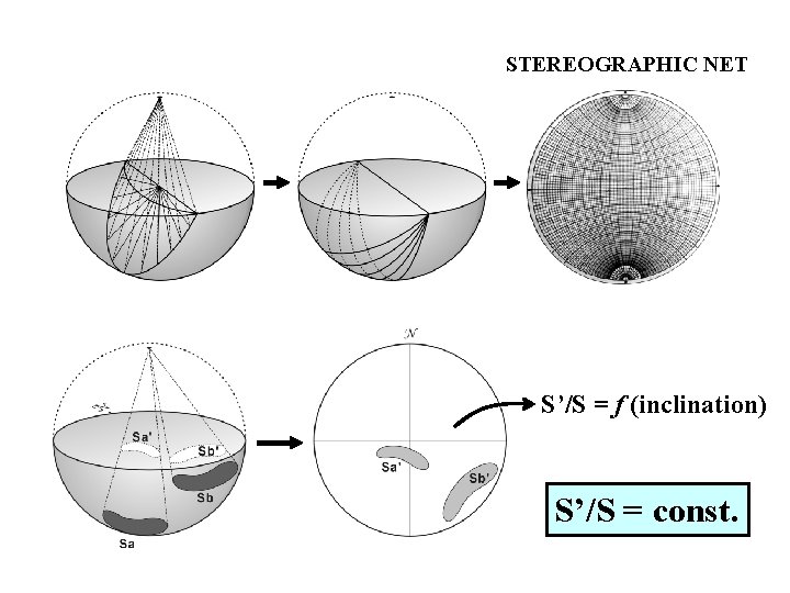 STEREOGRAPHIC NET S’/S = f (inclination) S’/S = const. 
