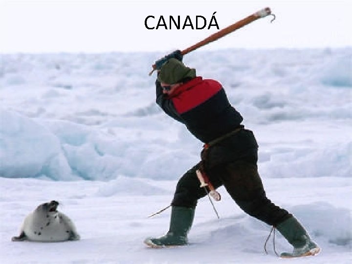 CANADÁ 