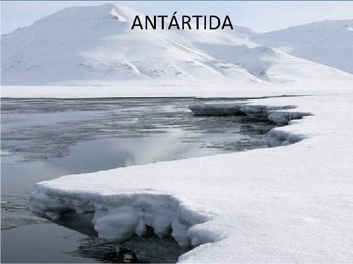 ANTÁRTIDA 