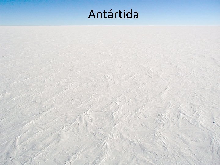 Antártida 