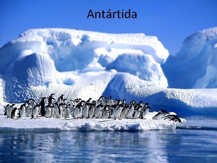 Antártida 