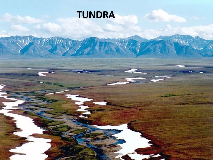 TUNDRA 