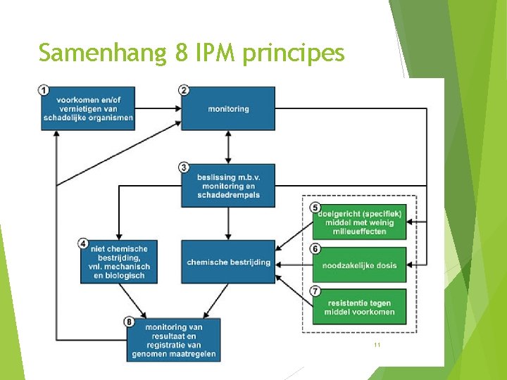 Samenhang 8 IPM principes 11 