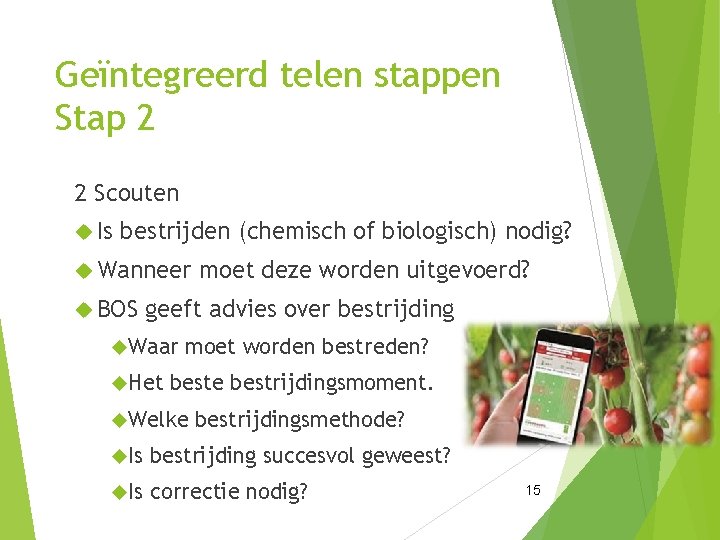 Geïntegreerd telen stappen Stap 2 2 Scouten Is bestrijden (chemisch of biologisch) nodig? Wanneer