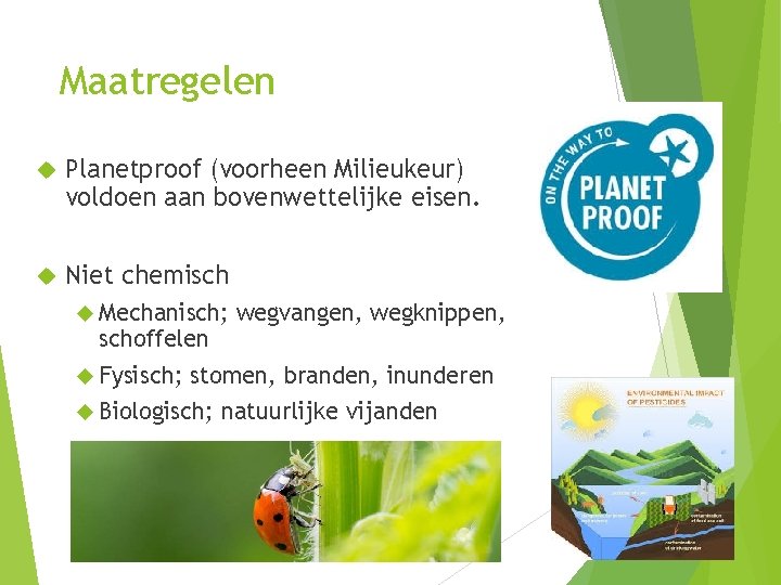 Maatregelen Planetproof (voorheen Milieukeur) voldoen aan bovenwettelijke eisen. Niet chemisch Mechanisch; schoffelen Fysisch; wegvangen,