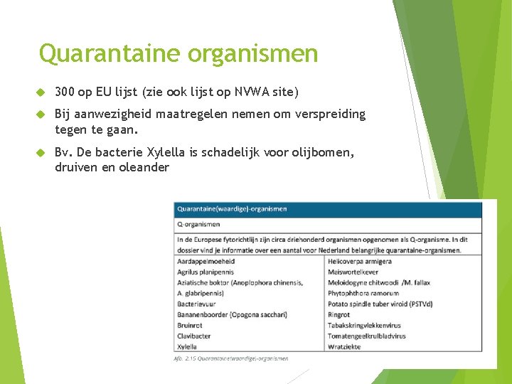 Quarantaine organismen 300 op EU lijst (zie ook lijst op NVWA site) Bij aanwezigheid