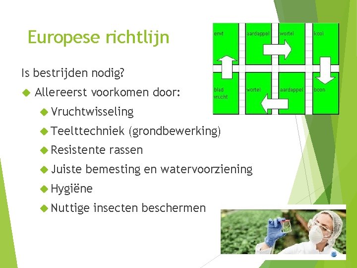 Europese richtlijn Is bestrijden nodig? Allereerst voorkomen door: Vruchtwisseling Teelttechniek Resistente Juiste (grondbewerking) rassen