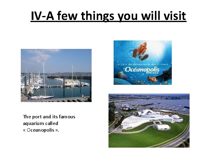 IV-A few things you will visit The port and its famous aquarium called «