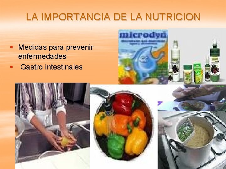 LA IMPORTANCIA DE LA NUTRICION § Medidas para prevenir enfermedades § Gastro intestinales 