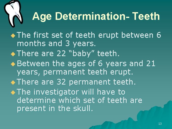 Age Determination- Teeth u The first set of teeth erupt between 6 months and