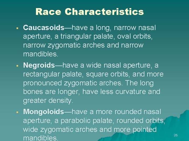 Race Characteristics § Caucasoids—have a long, narrow nasal aperture, a triangular palate, oval orbits,
