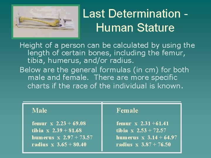 Last Determination Human Stature Height of a person can be calculated by using the