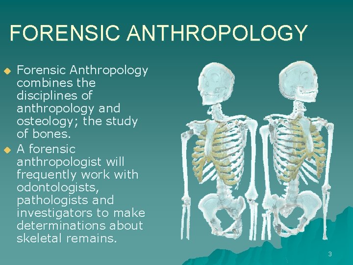 FORENSIC ANTHROPOLOGY u u Forensic Anthropology combines the disciplines of anthropology and osteology; the