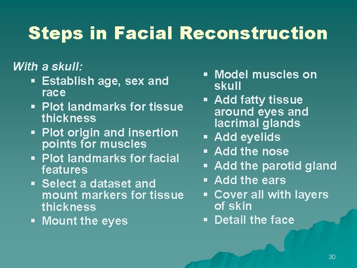 Steps in Facial Reconstruction With a skull: § Establish age, sex and race §