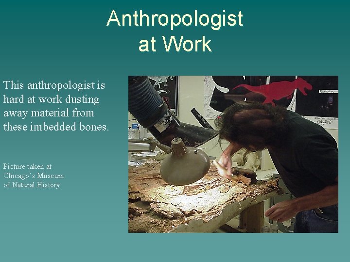 Anthropologist at Work This anthropologist is hard at work dusting away material from these